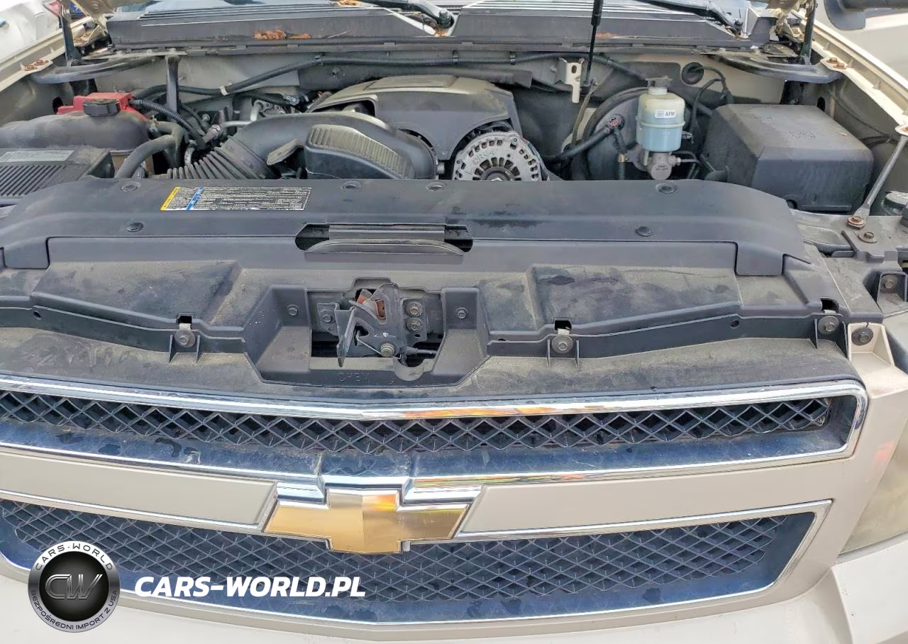 2010 Chevrolet Tahoe Lt VIN:1GNMCBE35AR215255 - 11