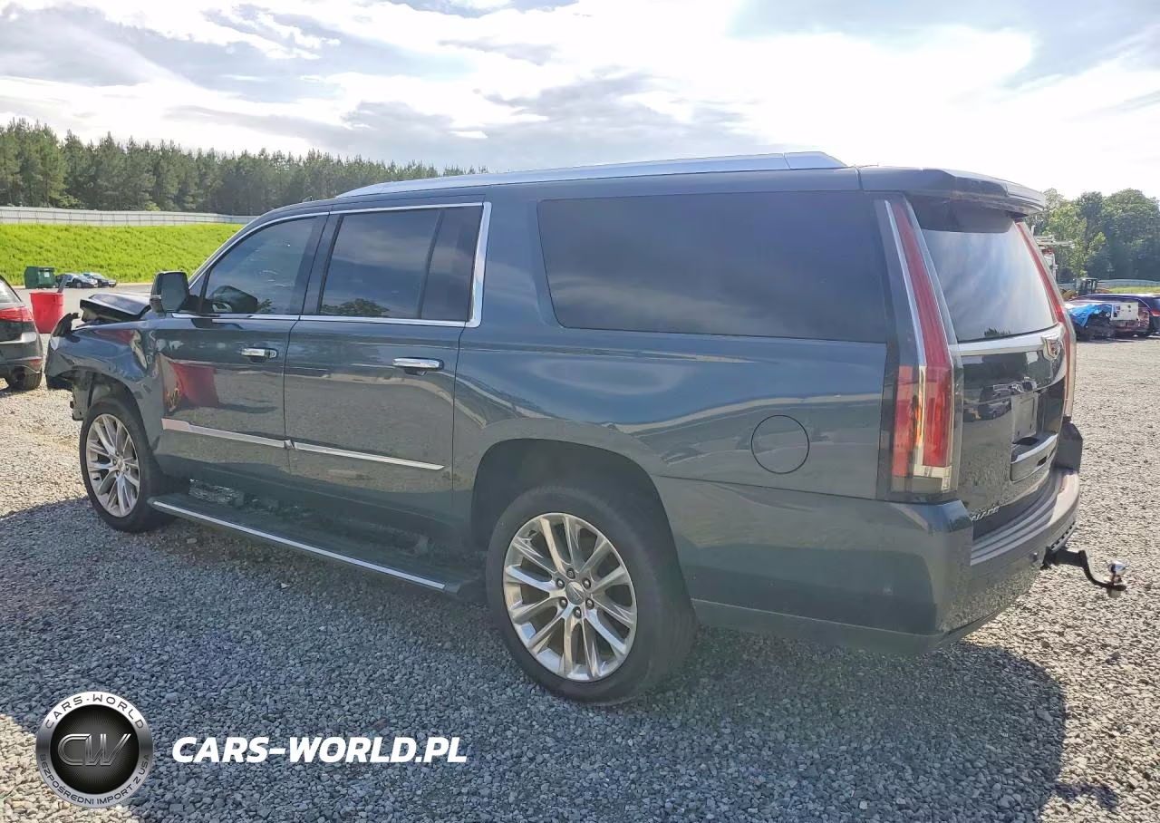 2019 Cadillac Escalade Esv Premium Luxury VIN:1GYS4JKJ9KR172352 - 2