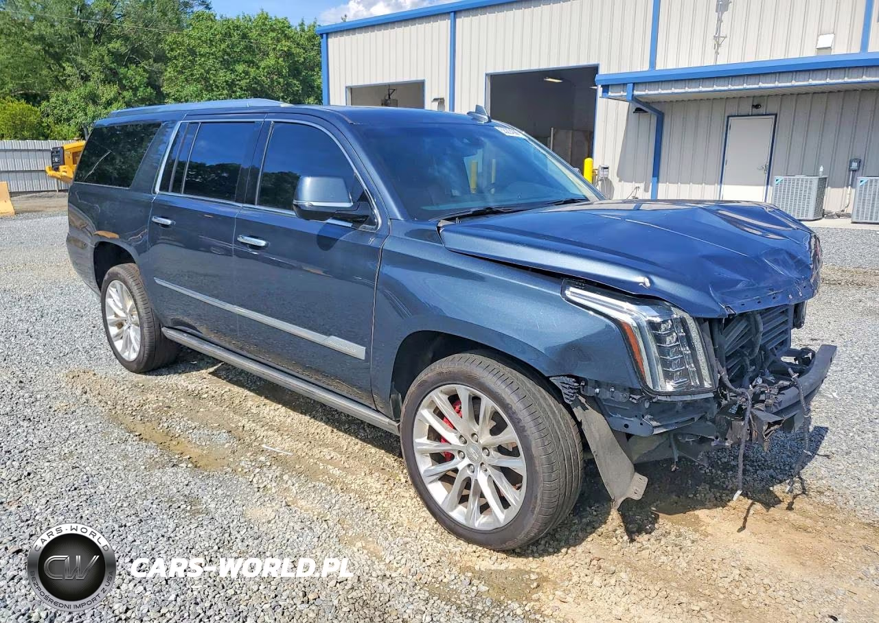 2019 Cadillac Escalade Esv Premium Luxury VIN:1GYS4JKJ9KR172352 - 4