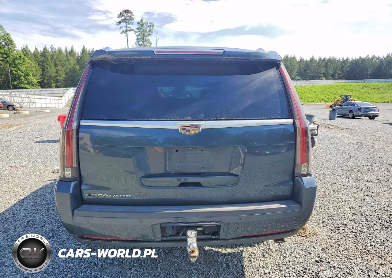2019 Cadillac Escalade Esv Premium Luxury VIN:1GYS4JKJ9KR172352 - 6