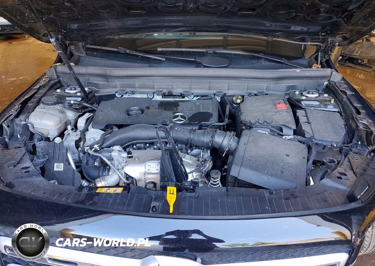 2023 Mercedes-Benz Glb 250 4Matic VIN:W1N4M4HBXPW305816 - 12