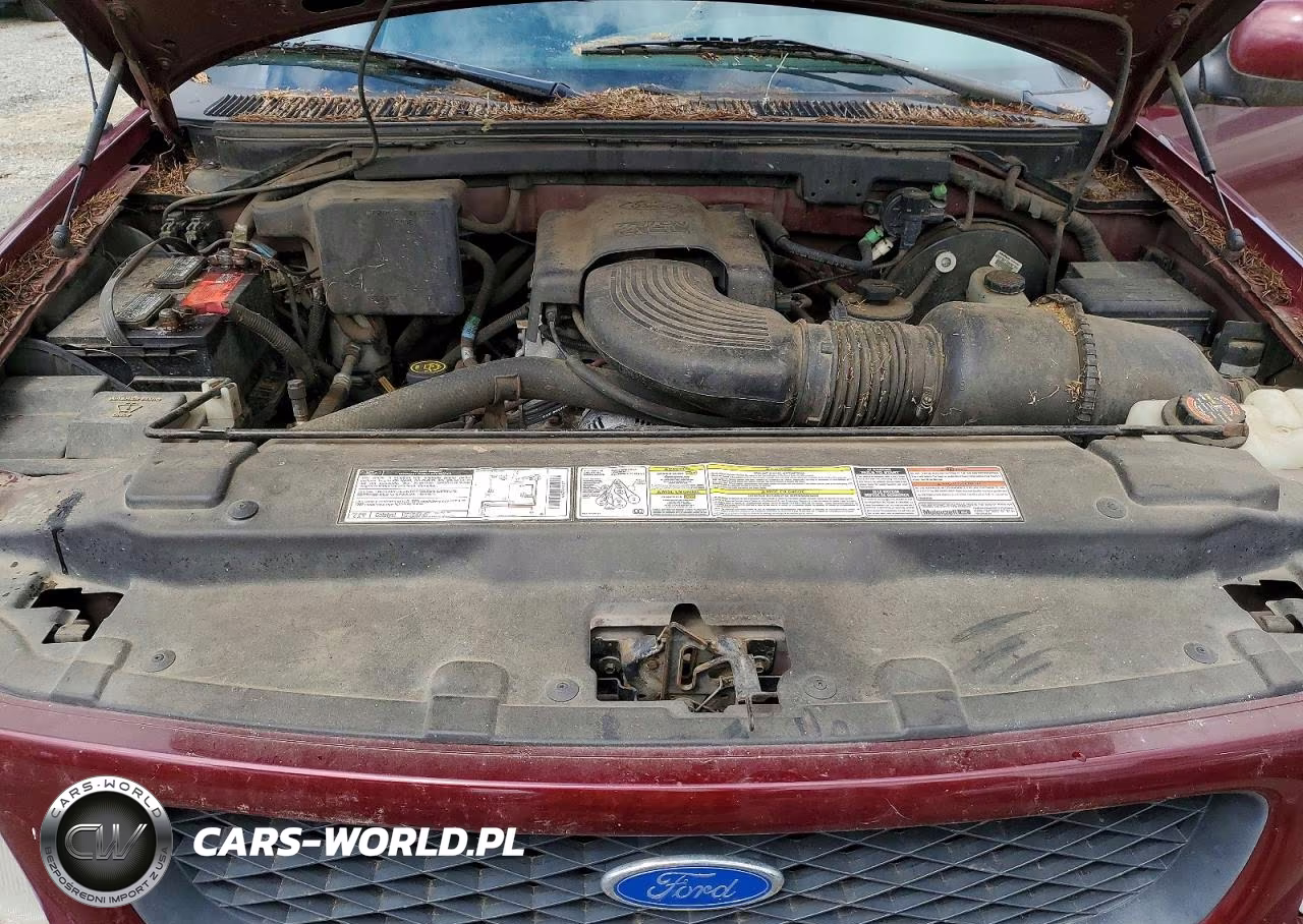 1997 Ford F150 VIN:1FTDX08W8VKB44347 - 11