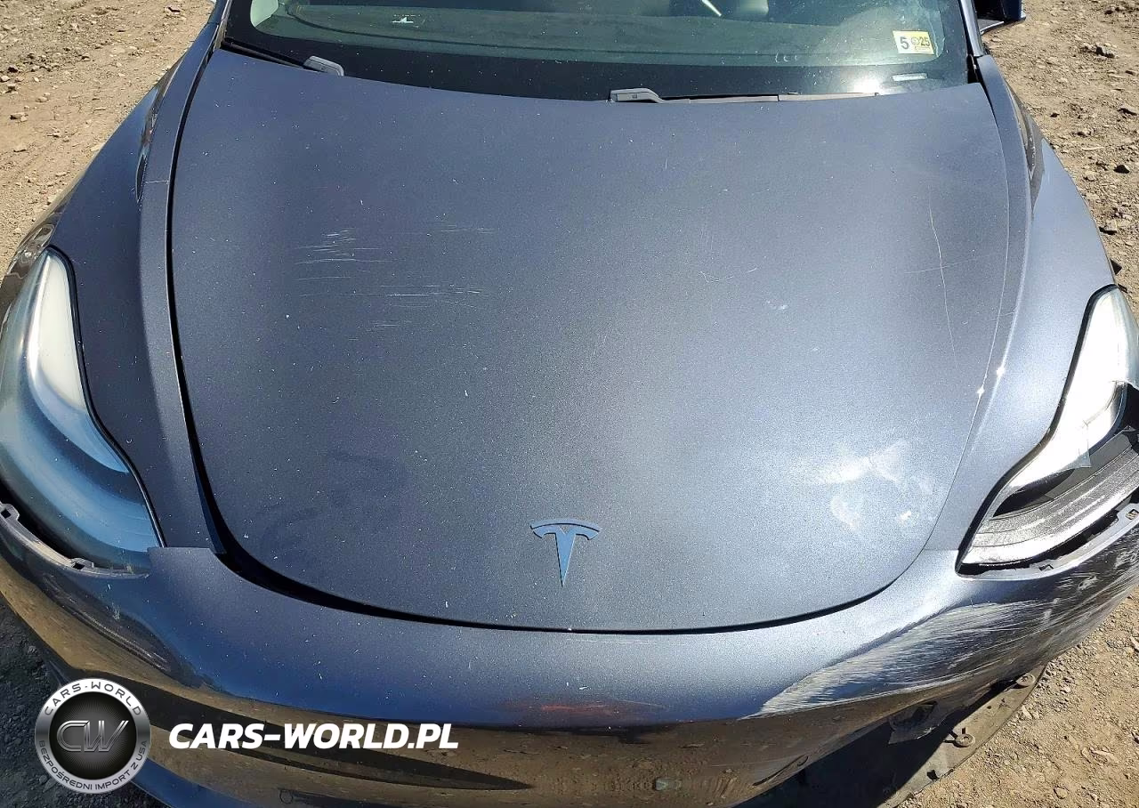 2020 Tesla Model 3 VIN:5YJ3E1EA2LF658026 - 11