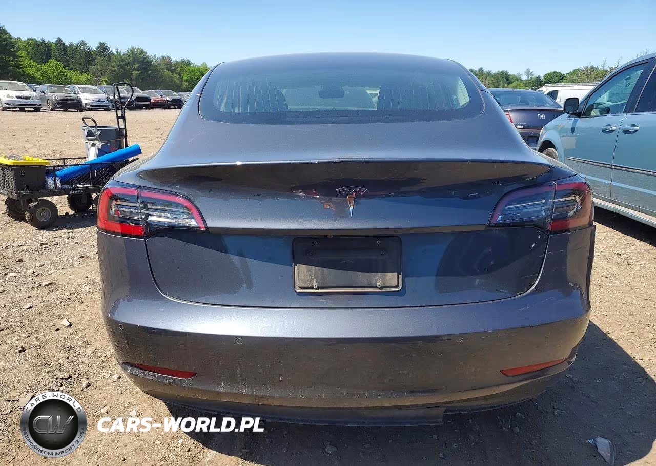 2020 Tesla Model 3 VIN:5YJ3E1EA2LF658026 - 6