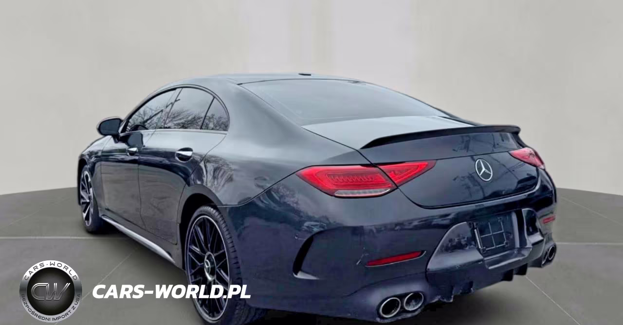 2019 Mercedes-Benz Cls Amg 53 4Matic VIN:WDD2J6BB7KA019042 - 3