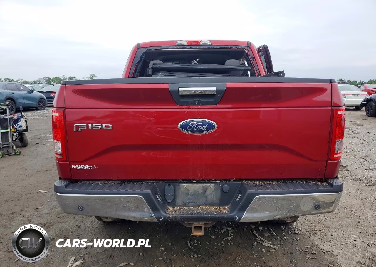 2017 Ford F150 Supercrew VIN:1FTEW1EG1HKC02667 - 6