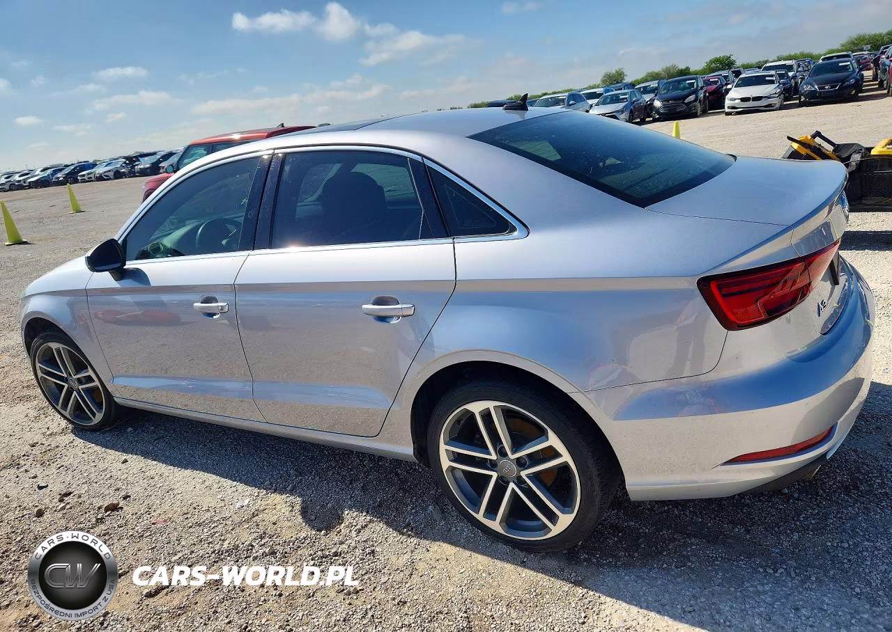 2019 Audi A3 Premium VIN:WAUAUGFF6K1015030 - 2