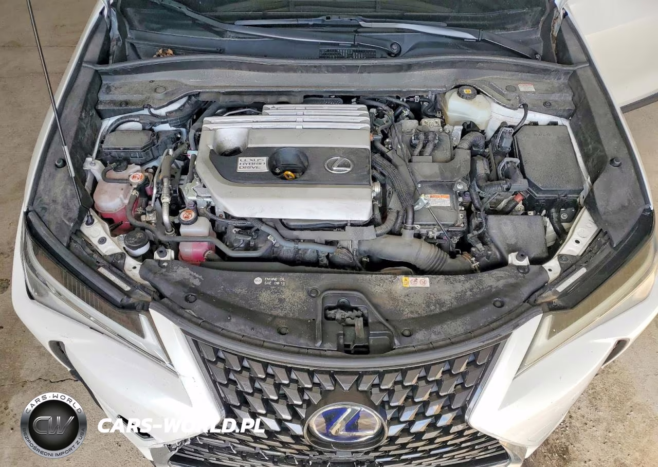 2020 Lexus Ux 250H VIN:JTHP9JBH5L2036433 - 12