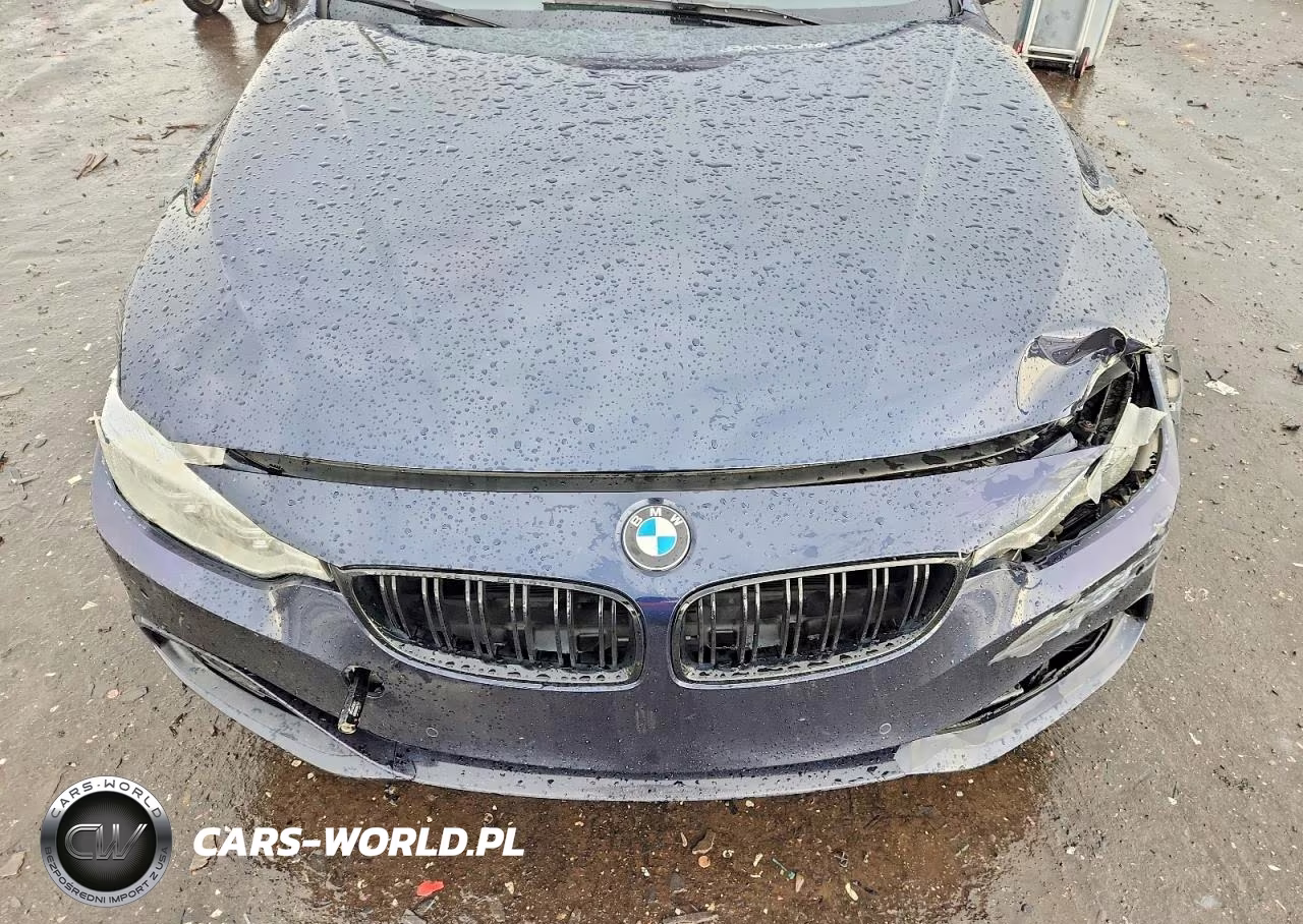 2017 BMW 430I Gran Coupe VIN:WBA4F7C50HG438436 - 11