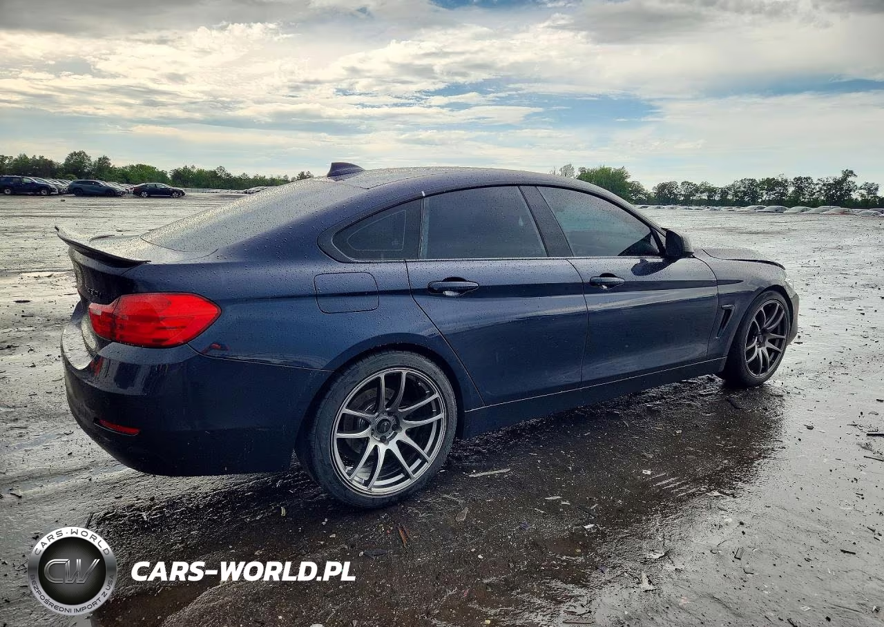 2017 BMW 430I Gran Coupe VIN:WBA4F7C50HG438436 - 3