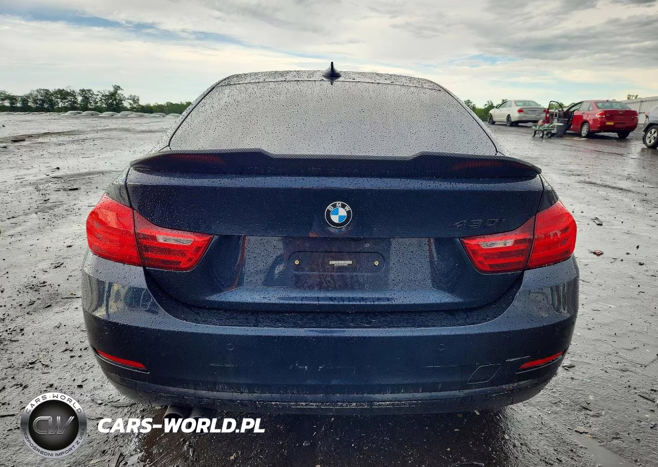 2017 BMW 430I Gran Coupe VIN:WBA4F7C50HG438436 - 6