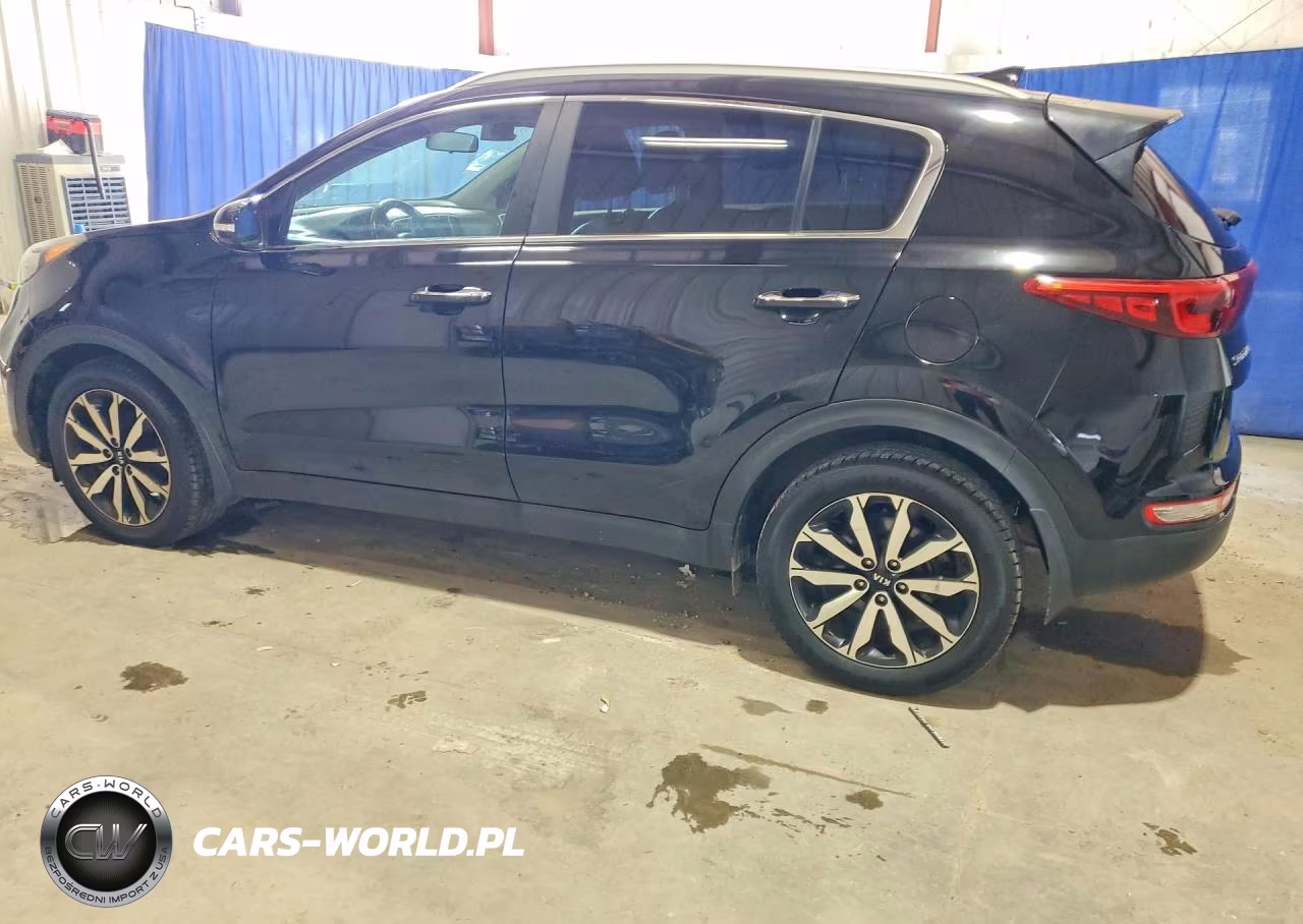 2019 Kia Sportage Ex VIN:KNDPN3AC2K7576905 - 2