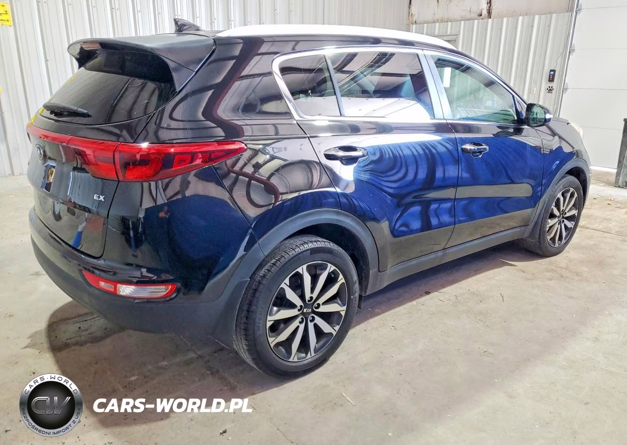 2019 Kia Sportage Ex VIN:KNDPN3AC2K7576905 - 3