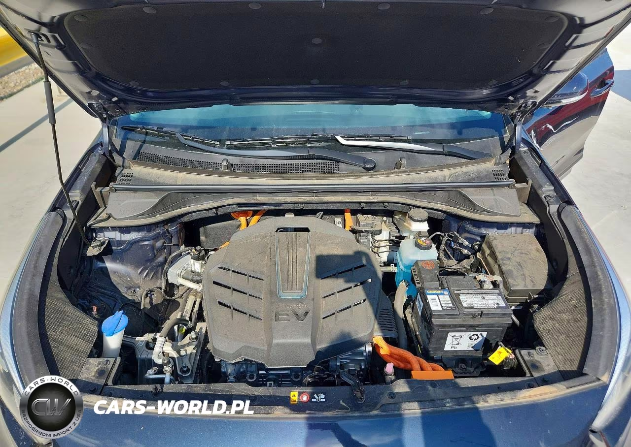 2022 Kia Niro Ev Ex VIN:KNDCC3LG2N5142178 - 12