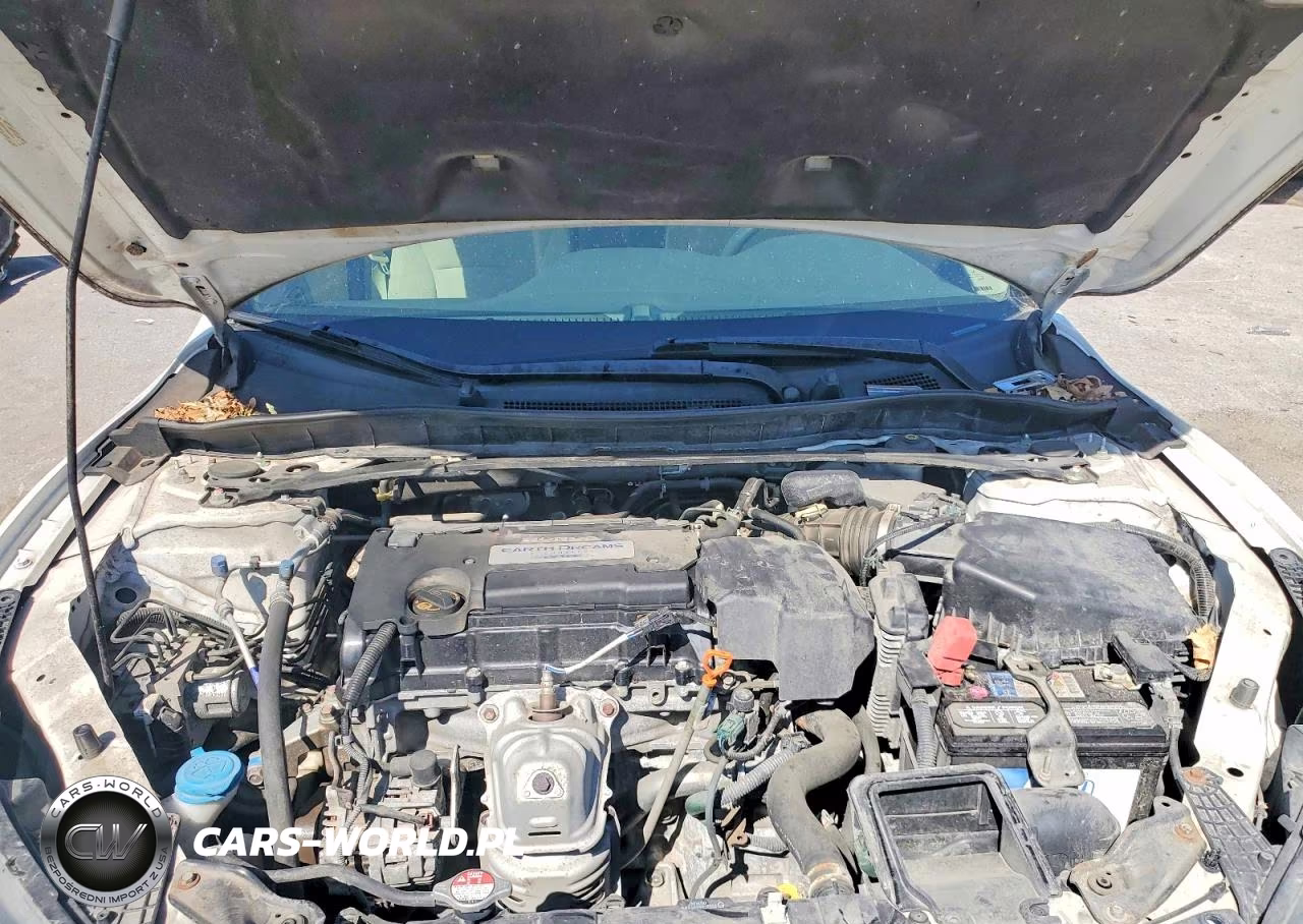 2013 Honda Accord Ex VIN:1HGCR2F73DA027679 - 11