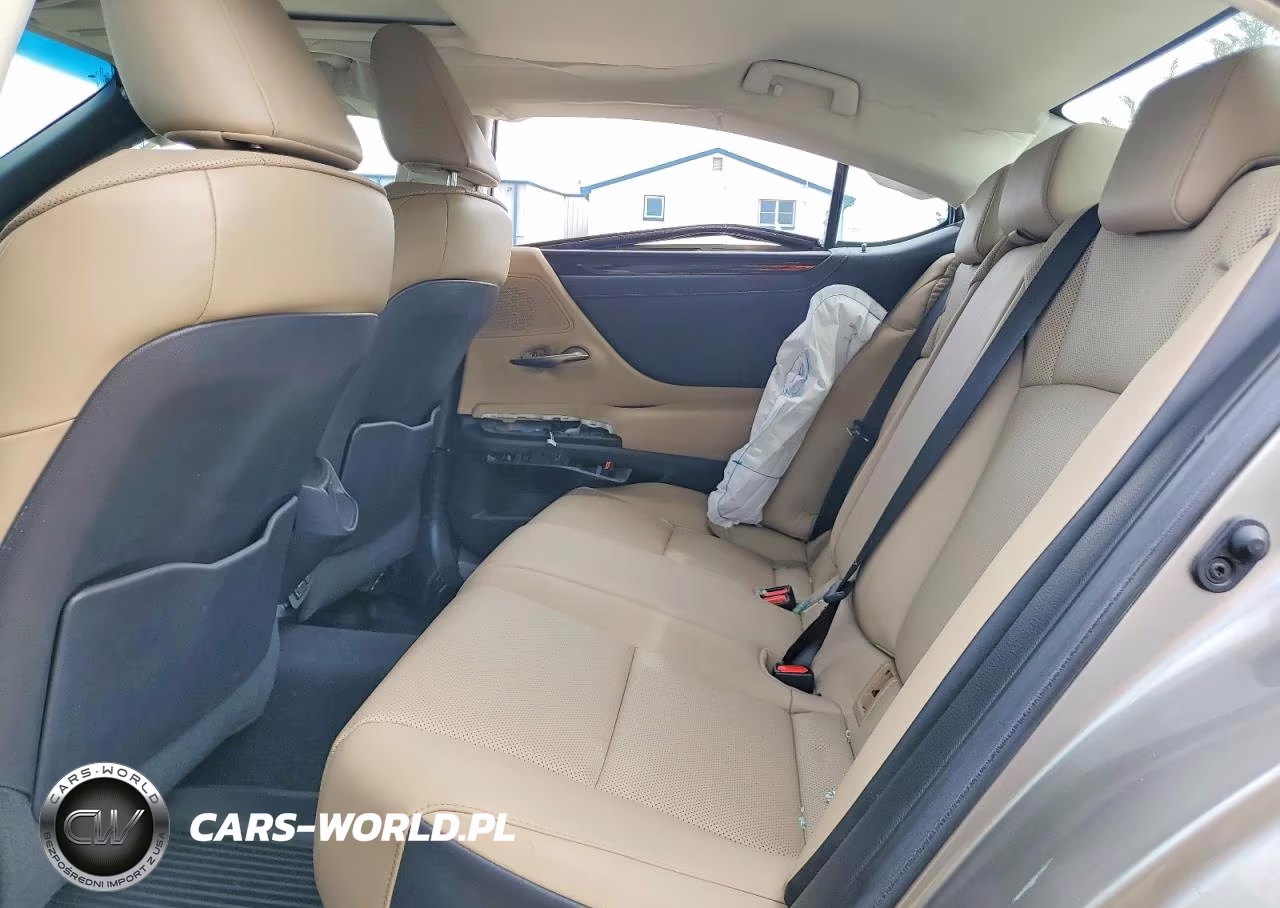 2021 Lexus Es 250 Base VIN:58AD11D14MU003915 - 10