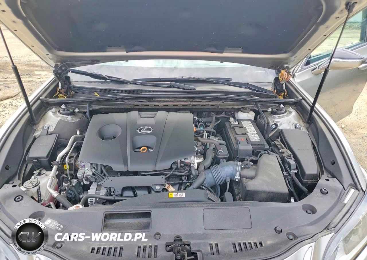 2021 Lexus Es 250 Base VIN:58AD11D14MU003915 - 11