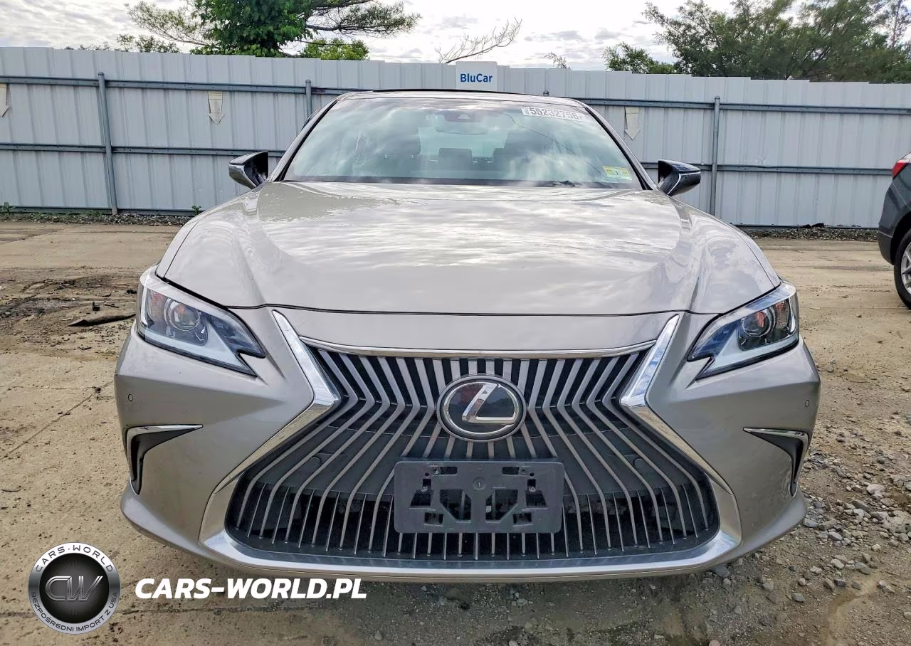 2021 Lexus Es 250 Base VIN:58AD11D14MU003915 - 5