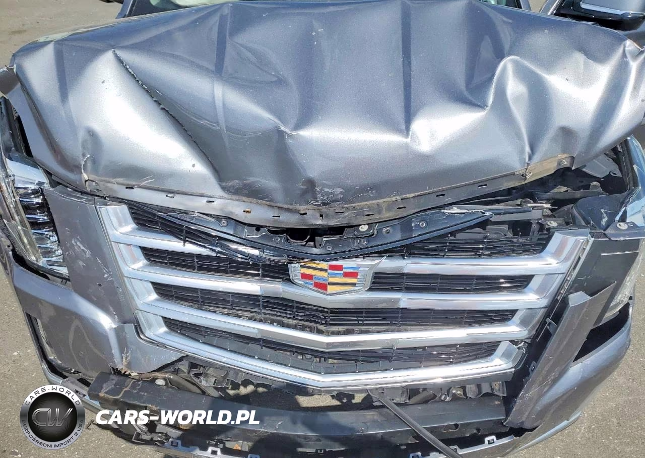 2018 Cadillac Escalade Esv Luxury VIN:1GYS4HKJ8JR242317 - 12
