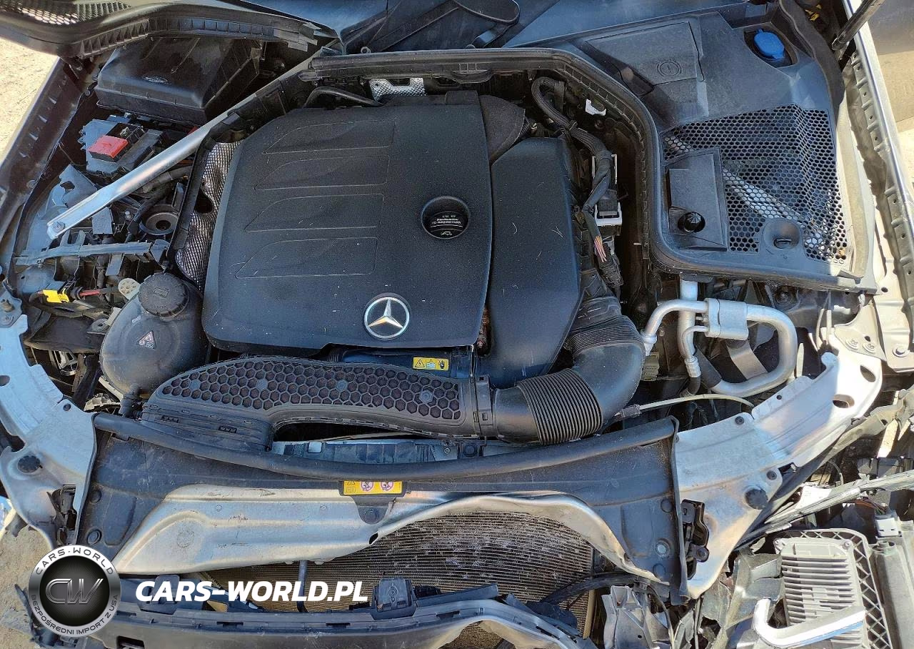 2019 Mercedes-Benz C 300 4Matic VIN:55SWF8EB4KU306817 - 11