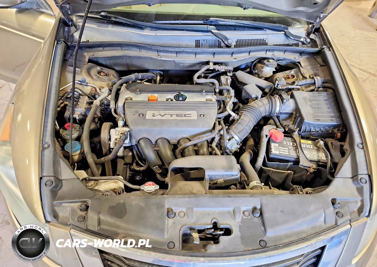 2009 Honda Accord Lx VIN:1HGCP26319A189174 - 11