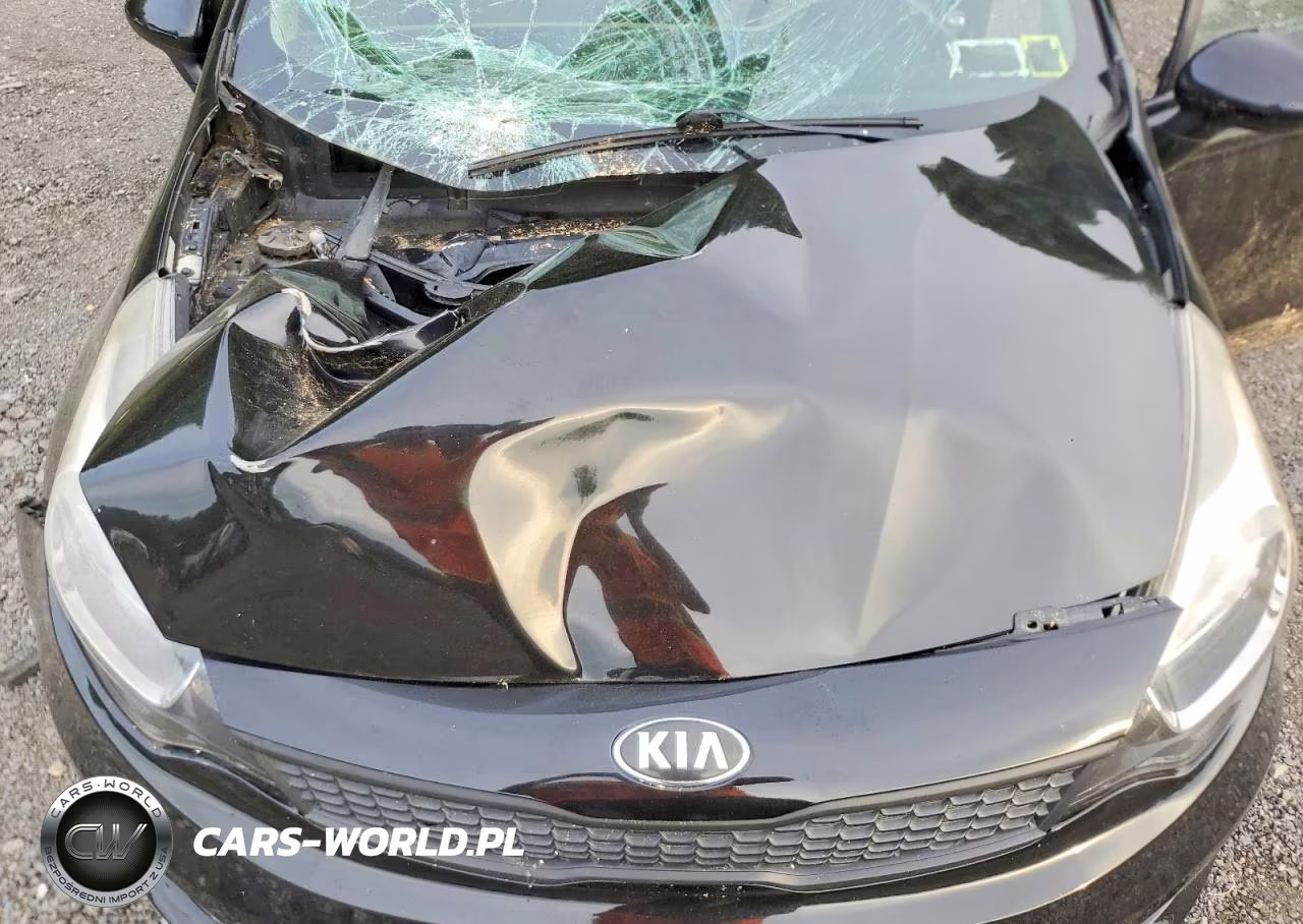2017 Kia Rio Lx VIN:KNADM4A38H6118390 - 11