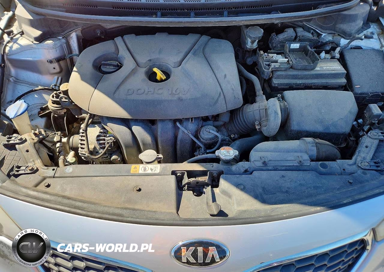 2016 Kia Forte Lx VIN:KNAFK4A64G5539262 - 11