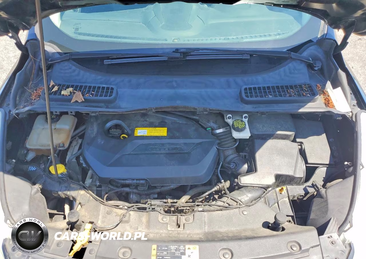 2016 Ford Escape Se VIN:1FMCU0GX4GUB46470 - 12