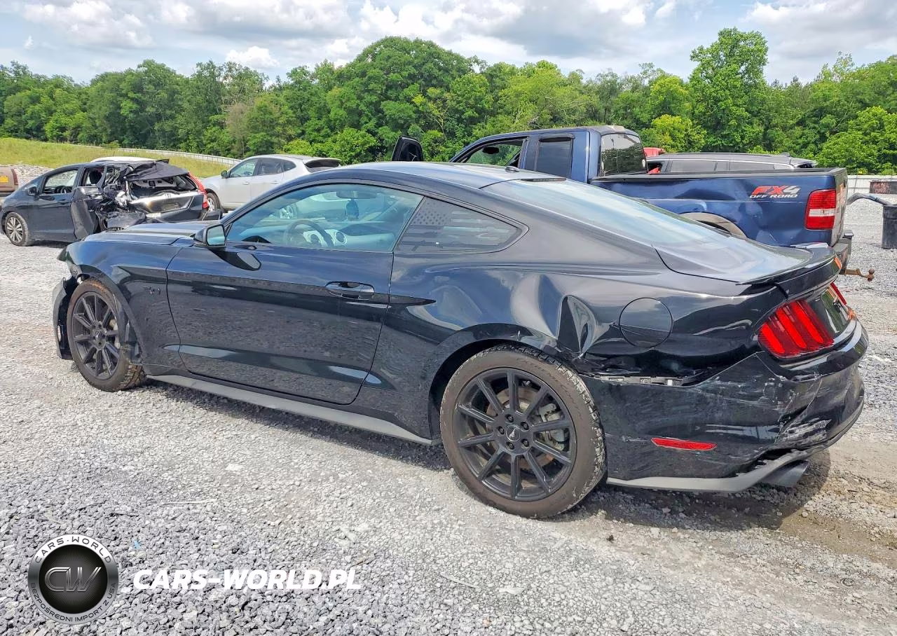 2016 Ford Mustang Gt VIN:1FA6P8CF7G5289269 - 2