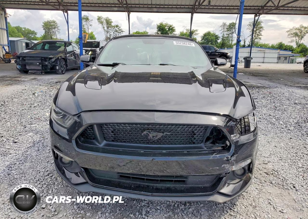 2016 Ford Mustang Gt VIN:1FA6P8CF7G5289269 - 5