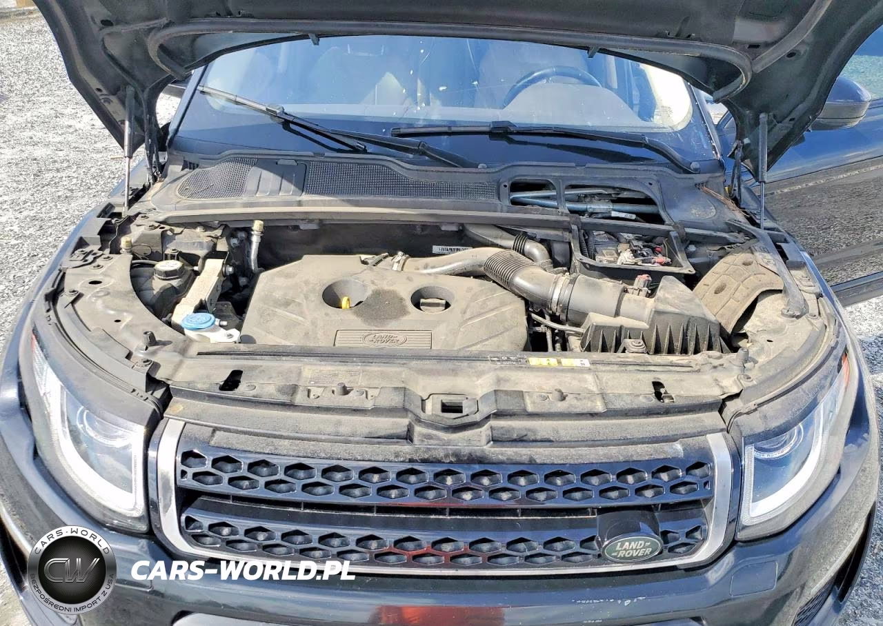 2017 Land Rover Range Rover Evoque Se VIN:SALVP2BG9HH182164 - 12