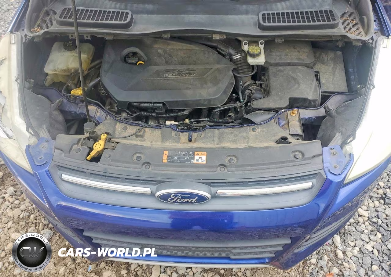 2015 Ford Escape Se VIN:1FMCU0GX1FUA37138 - 11