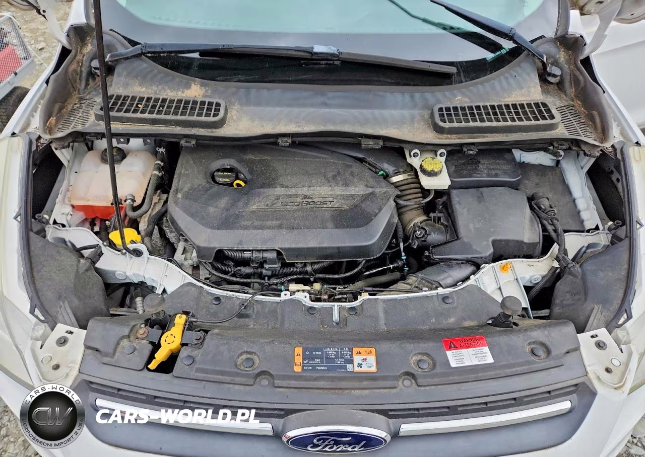 2014 Ford Escape Se VIN:1FMCU0GX5EUC69384 - 12