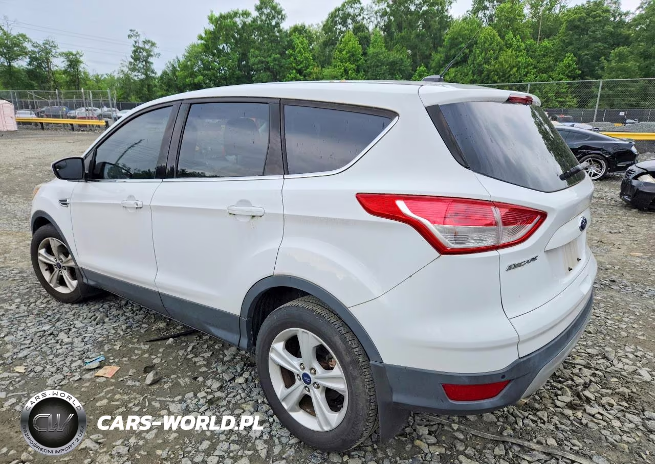 2014 Ford Escape Se VIN:1FMCU0GX5EUC69384 - 2
