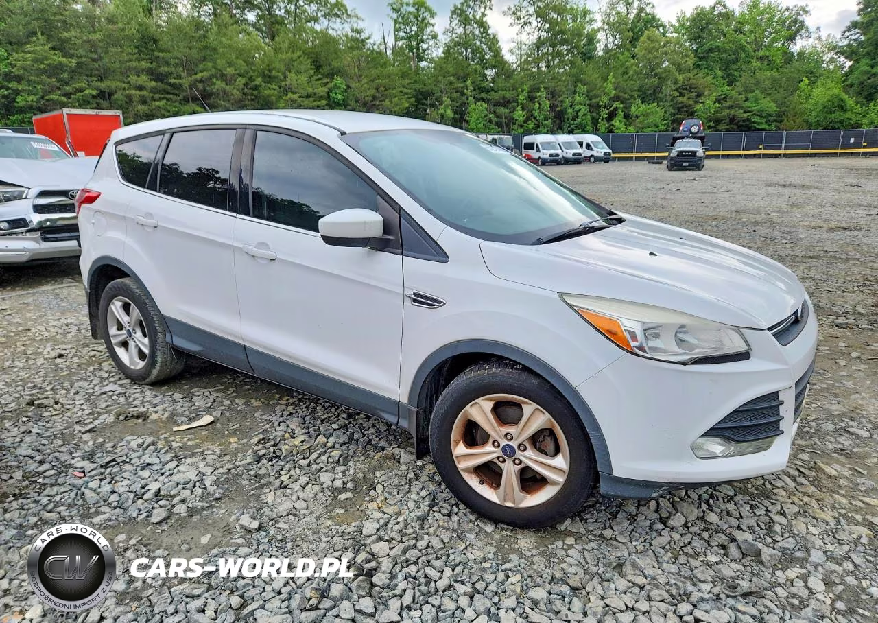 2014 Ford Escape Se VIN:1FMCU0GX5EUC69384 - 4