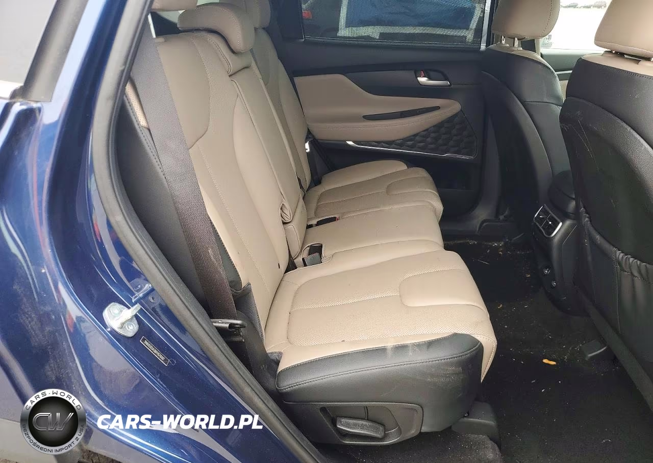 2023 Hyundai Santa Fe Sel Premium VIN:5NMS3DAJ8PH578307 - 11