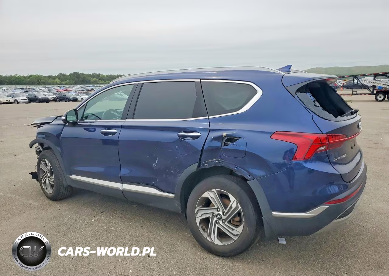 2023 Hyundai Santa Fe Sel Premium VIN:5NMS3DAJ8PH578307 - 2