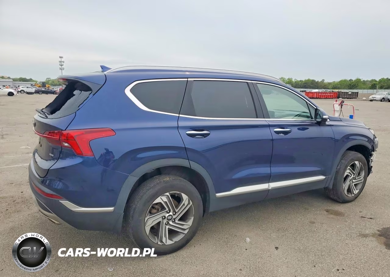 2023 Hyundai Santa Fe Sel Premium VIN:5NMS3DAJ8PH578307 - 3