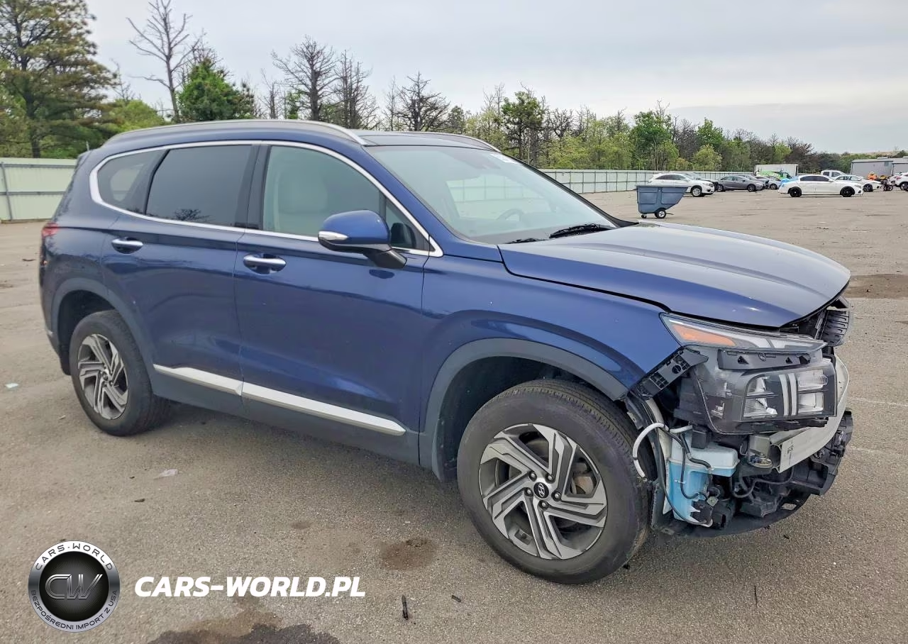 2023 Hyundai Santa Fe Sel Premium VIN:5NMS3DAJ8PH578307 - 4