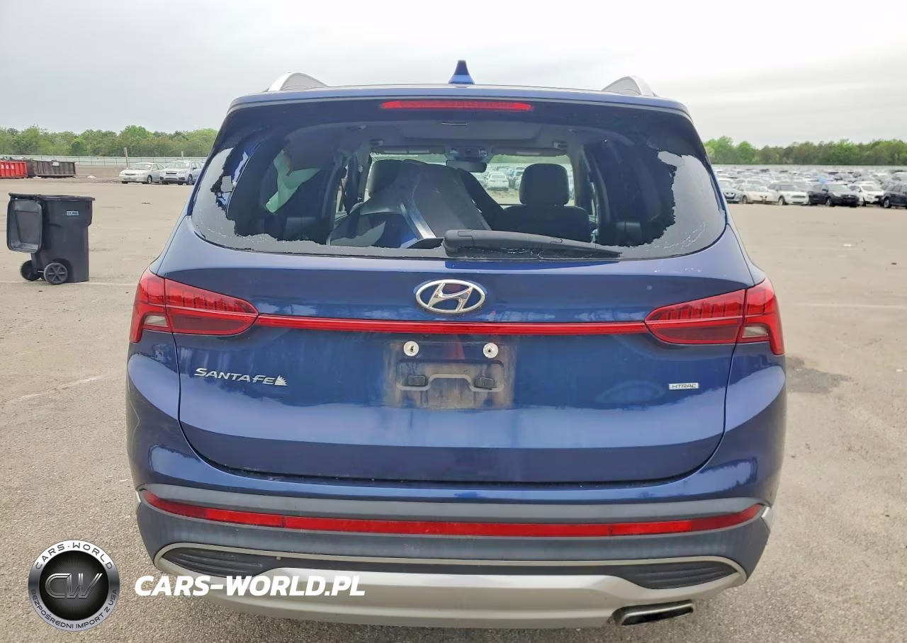 2023 Hyundai Santa Fe Sel Premium VIN:5NMS3DAJ8PH578307 - 6