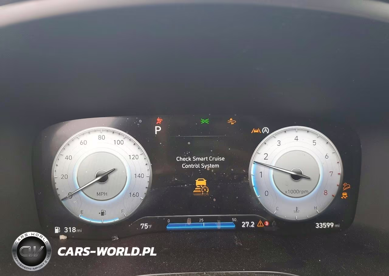 2023 Hyundai Santa Fe Sel Premium VIN:5NMS3DAJ8PH578307 - 9