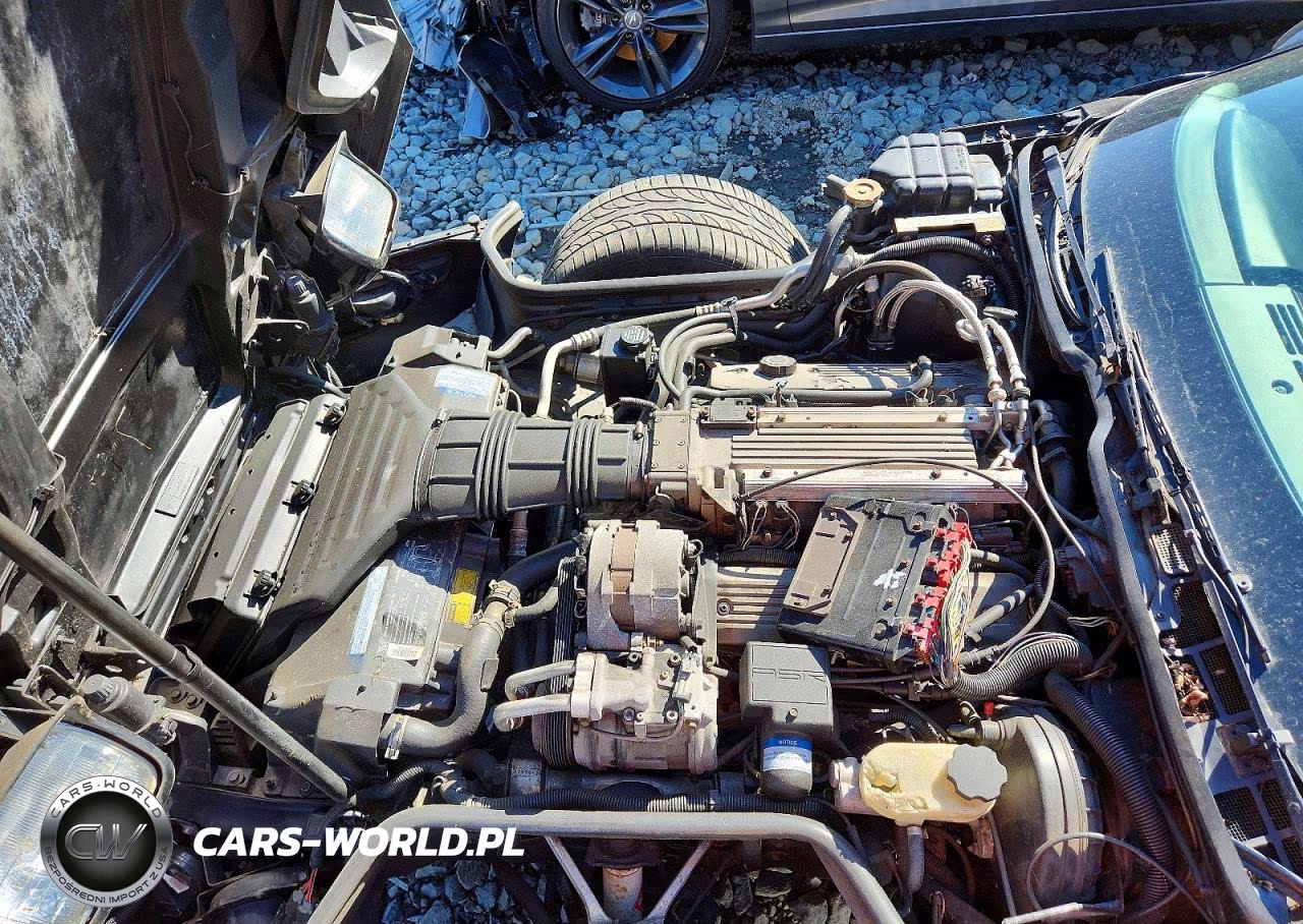1992 Chevrolet Corvette VIN:1G1YY33P4N5109506 - 11