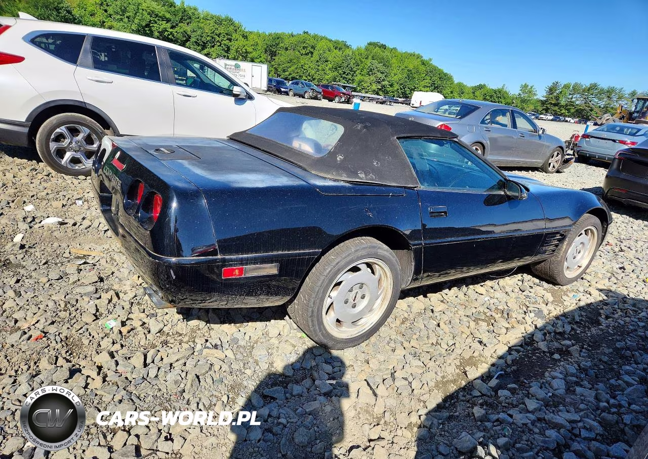 1992 Chevrolet Corvette VIN:1G1YY33P4N5109506 - 3