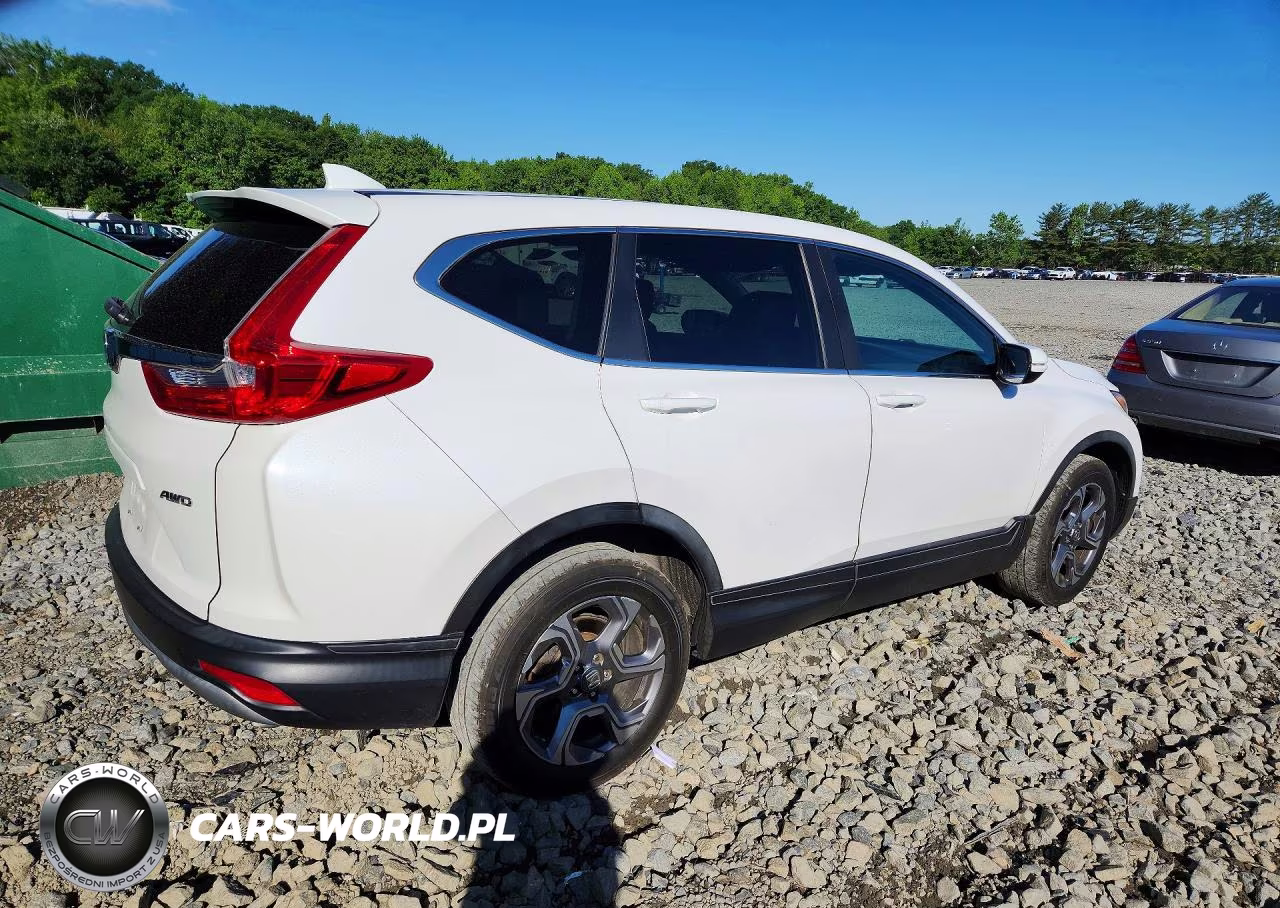 2019 Honda Cr-V Exl VIN:5J6RW2H86KL007753 - 3