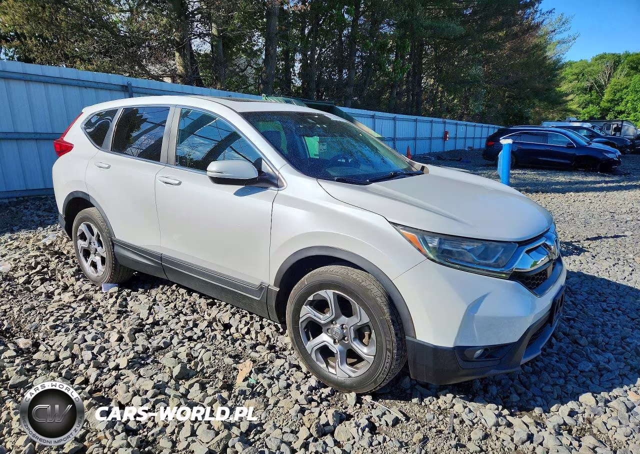 2019 Honda Cr-V Exl VIN:5J6RW2H86KL007753 - 4