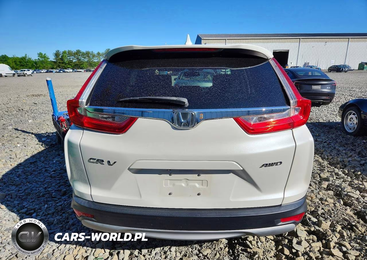 2019 Honda Cr-V Exl VIN:5J6RW2H86KL007753 - 6