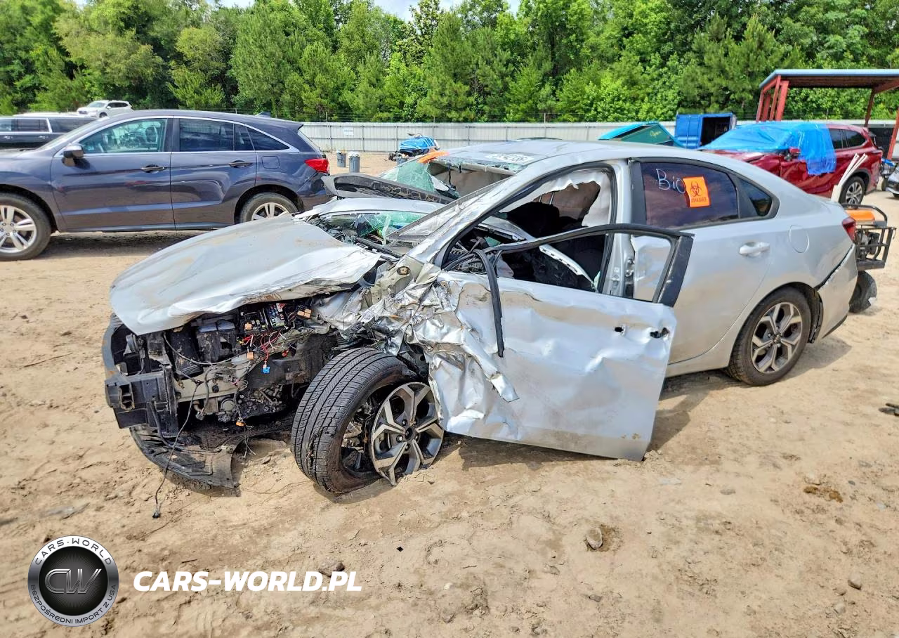 2019 Kia Forte Lxs