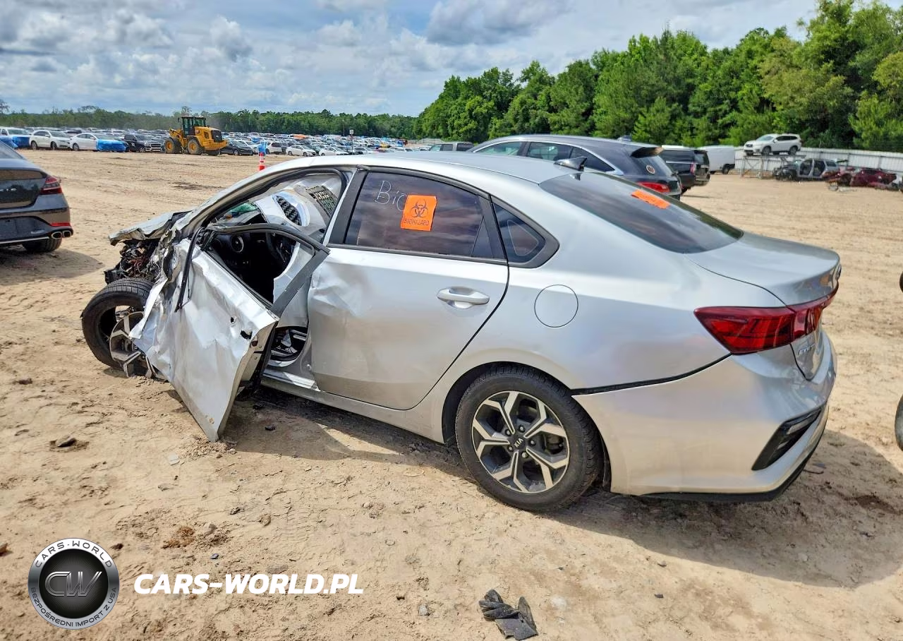 2019 Kia Forte Lxs VIN:3KPF24AD5KE119234 - 2