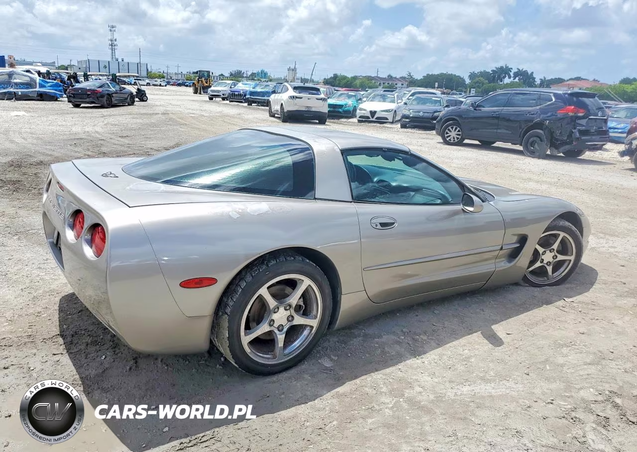 1999 Chevrolet Corvette VIN:1G1YY22G9X5109449 - 3