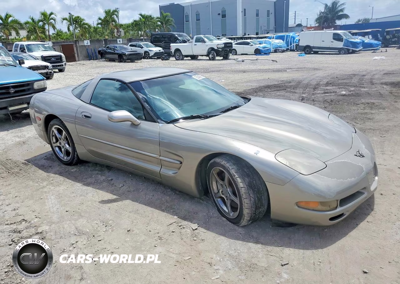 1999 Chevrolet Corvette VIN:1G1YY22G9X5109449 - 4